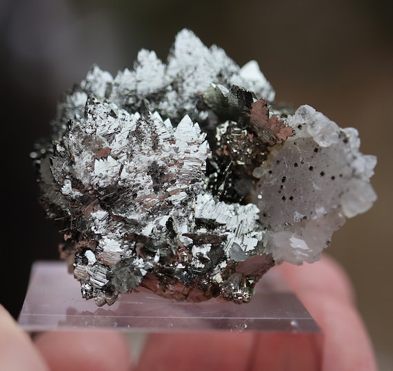 Lustrous blades of Marcasite with Calcite, Pyrite Quartz. Panasqueira Mine Castelo Branco, Portugal. 50 mm. This piece is SO good. SEE VIDEO