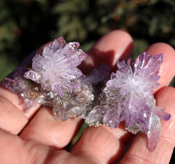 Twin Amethyst Quartz flowers. Piedra Parada, Tatatila, Veracruz, Mexico.