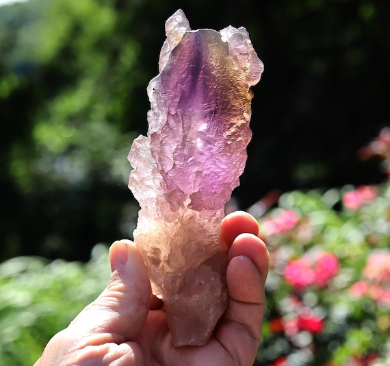 Gem Ametrine Crystal: Anahi Mine, Bolivia - Pristine Floater