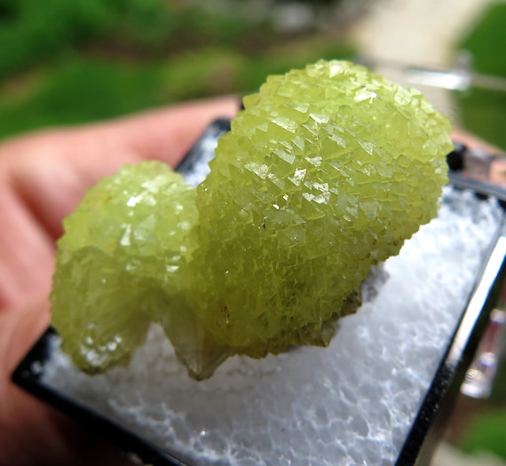 Complex growth Adamite thumbnail in a perky box. Pristine condition. Ojuela mine, Mapimi, Durango, Mexico