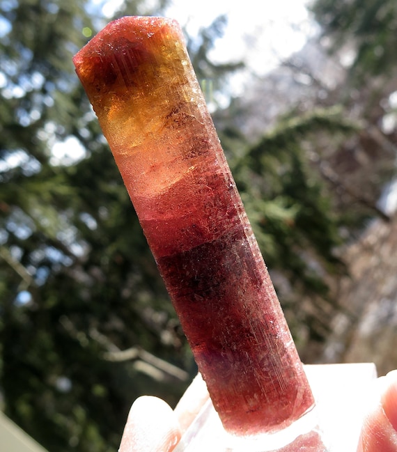 Frosted Tourmaline var. Rubellite. Malkhan, Transbaikal Region, Russia. 103.3 grams with base 3.75 inch tall. Beautiful color & termination.