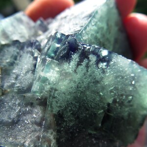 Color Change Fluorite. Poison Ivy Pocket, Lady Annabella Mine, Eastgate