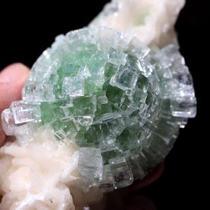 May include: Close-up of a mineral specimen featuring a cluster of translucent, cubic crystals in shades of green and clear. The crystals are arranged in a spherical shape, with a base of white, opaque material. The background is black.