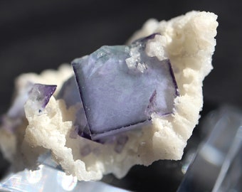 Scarce Fluorite thumbnail from the porcelain pocket with Calcite Yaogangxian Mine, Yizhang County, Chenzhou, China. No damage