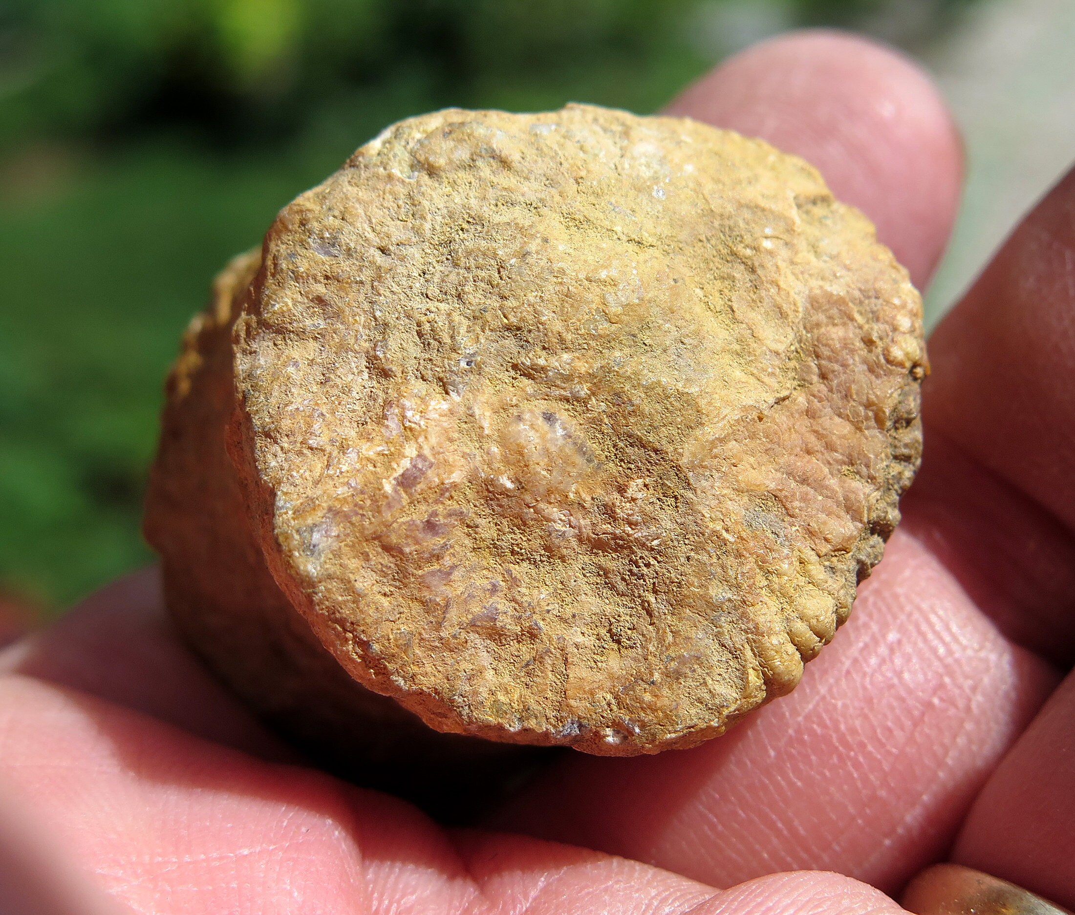 Perfect Rhodochrosite stalactite tip. Polished face. Excellent color