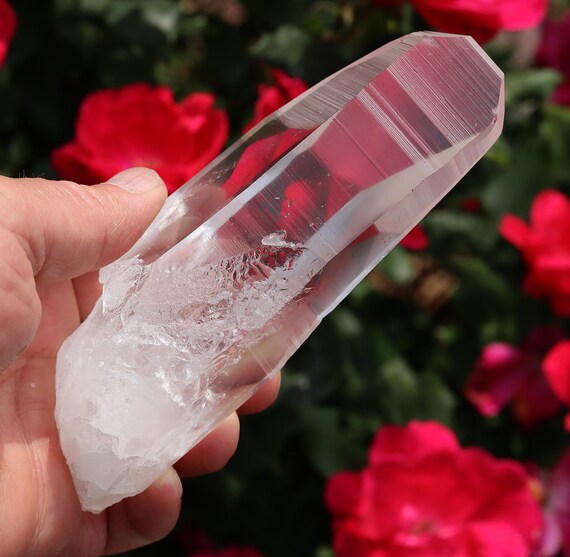 High quality natural no polish Lemurian Seed Quartz Crystal, Serra Do Cabral & Bahia region of Brazil 6 inch icy clear
