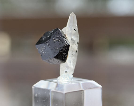 Well formed Schorl on Tessin habit Quartz. Erongo Mts., Karibib, Namibia. TN