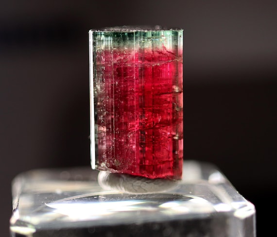 Elbaite var. Tourmaline with nice blue cap. Cruzeiro mine, Sao Jose da Safira, MG, Brazil. A true gem