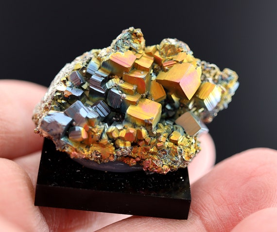 New find. Top pocket pick. Natural ultra rainbow iridescent Pyrite crystal. Las Minas, Veracruz, Mexico. Comes mounted.