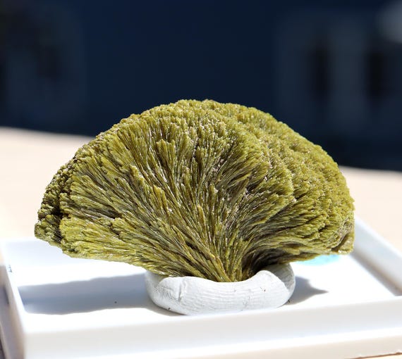 The Tree. Epidote crystals. Imilchil, Rachidia Prov., Morocco. Perfect natural all around. Phillip Phillips collection with provenance.