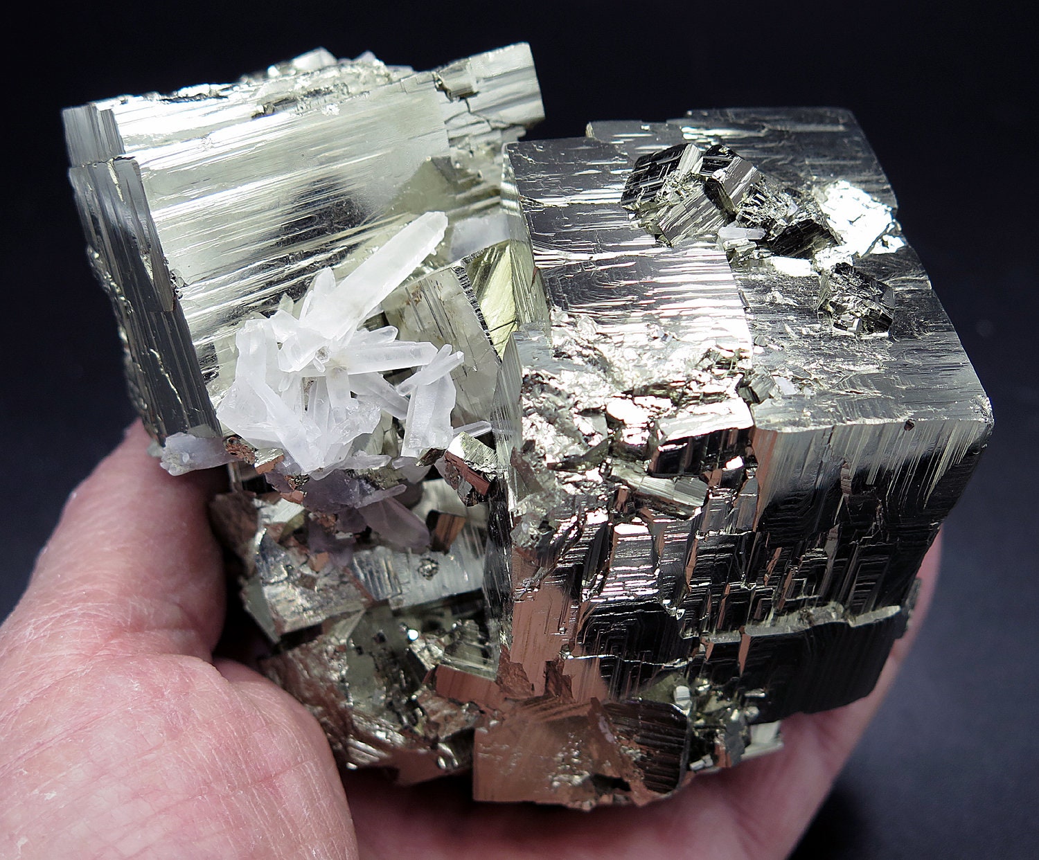 High Interest 3 interlocking Pyrite Cubes (and many more) with Quartz