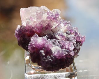 May include: A cluster of purple and clear fluorite crystals. The crystals are arranged in a cluster, with some of the crystals being larger than others. The crystals are translucent and have a glassy luster.