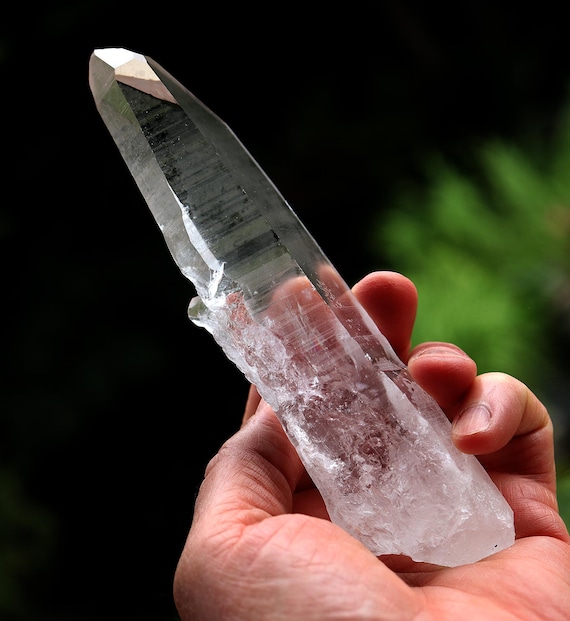 Lemurian Seed Quartz Crystal: 6.75" with Penetrating Crystals