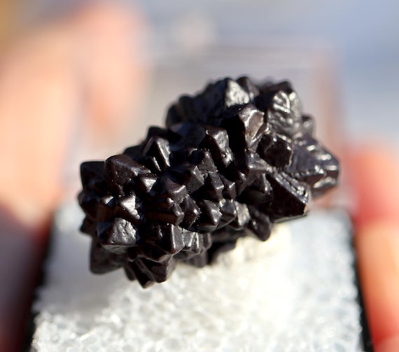 Prophecy Stone crystal thumbnail. A pseudomorph, Limonite Hematite after Marcasite Pyrite. Farafra in Egypt