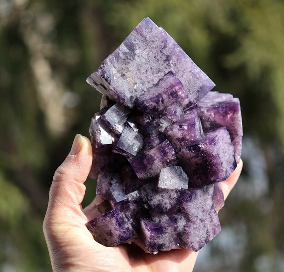 Fluorite Purple Rain Pocket, Lady Annabella Mine, Eastgate, Weardale Co., Durham, England 6.5 inch. 3 pounds 10 ounce