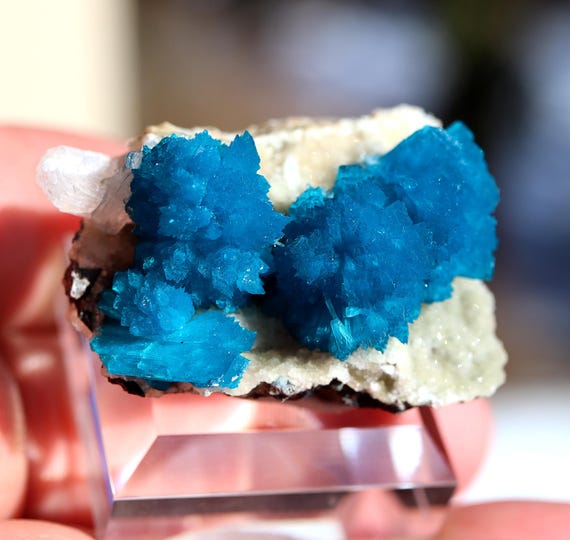 Cavansite crystals. Wagholi Quarries, near Pune, Maharashtra, India. No damage