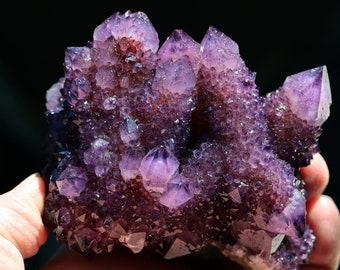 Rich deep color cactus Amethyst Quartz. Boekenhouthoek, Mpumulanga Prov., Republic South Africa. No damage. 420 grams. Stands on its own.