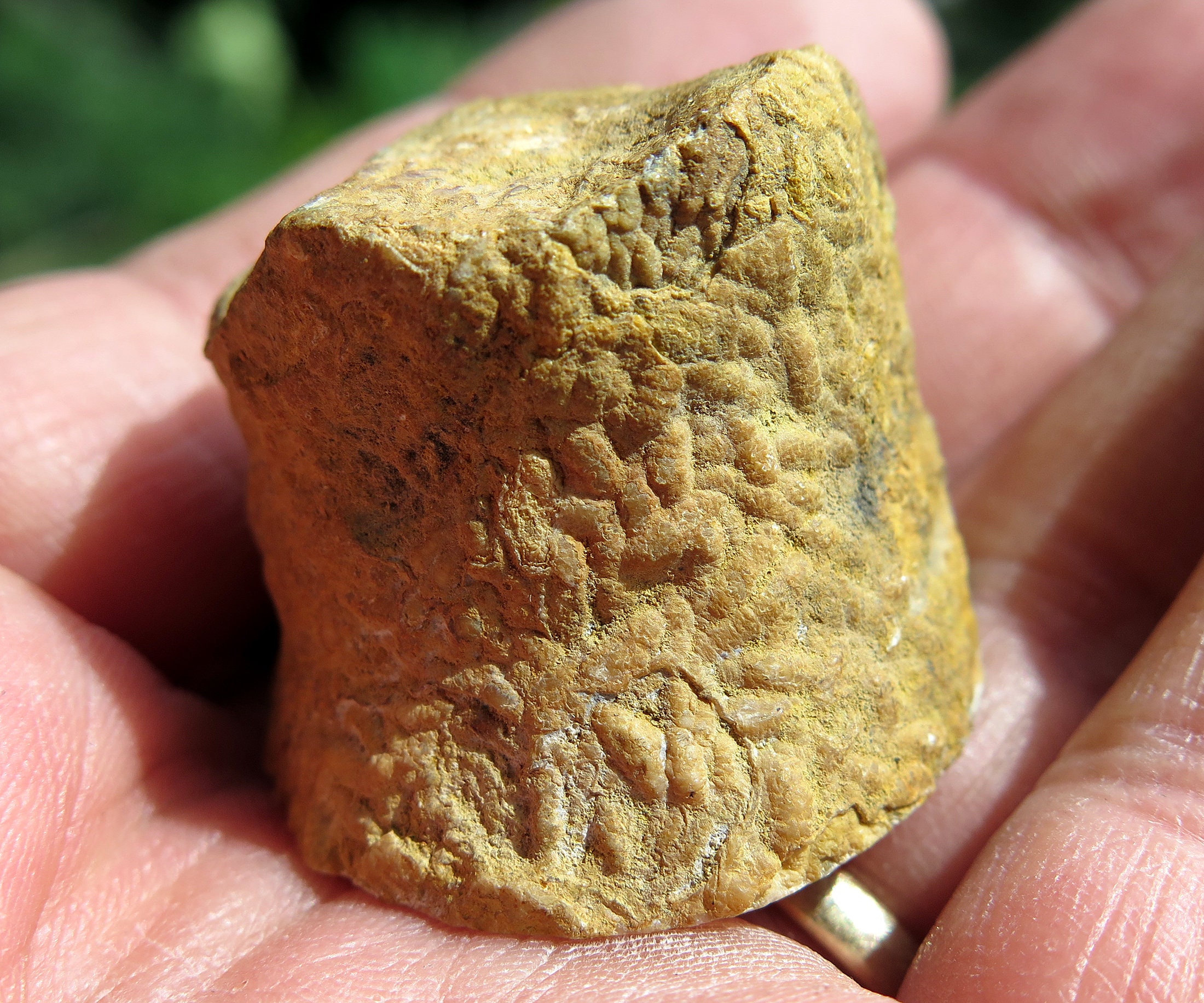 Perfect Rhodochrosite stalactite tip. Polished face. Excellent color