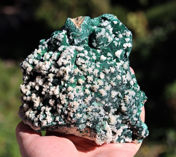 Malachite with Cerussite large cabinet 15.5 cm Republic of Congo