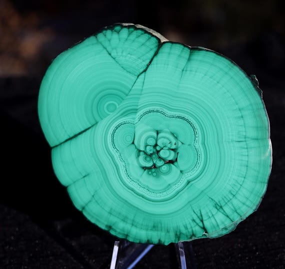 High key color Malachite stalactite slice. Outer rind intact all around. No scratches. Quality. D.R. of Congo