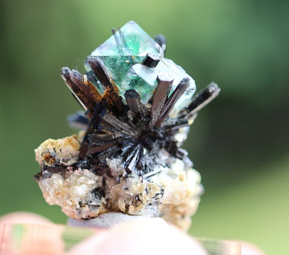 Fluorite, Schorl and Muscovite. Erongo Mts., Namibia. Many penetrating Schorl crystals. Translucent Fluorite with no damage. Great miniature