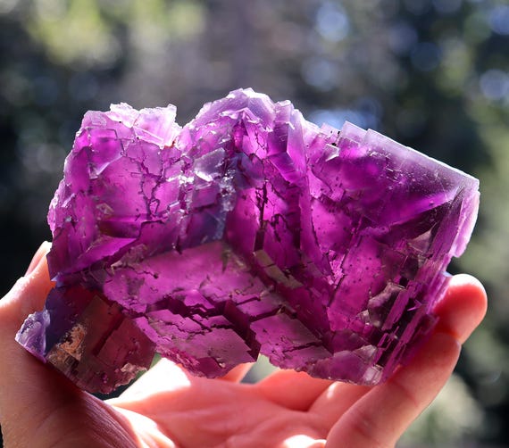 Fluorite. Deardorff mine, the Ozark-Mahoning group in the original Cave-in-Rock mine from 1951