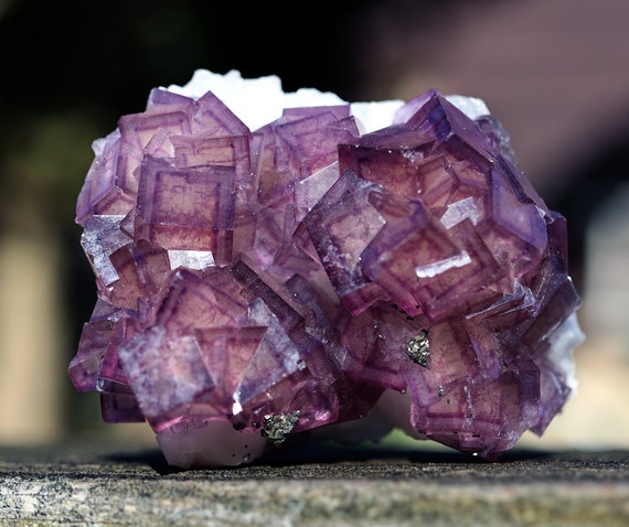 Beautifully zoned Fluorite, Pyrite on Quartz. Yaogangxian Mine, Yizhang County, Chenzhou, China