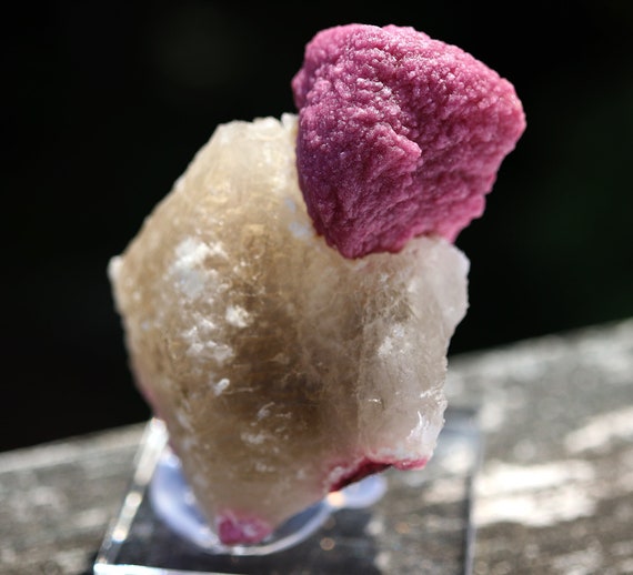 The cupcake Rubellite mushroom Tourmaline on a Quartz crystal. Khetchel, Malo, Burma. Beautiful combo specimen. 2 7/8 inch tall