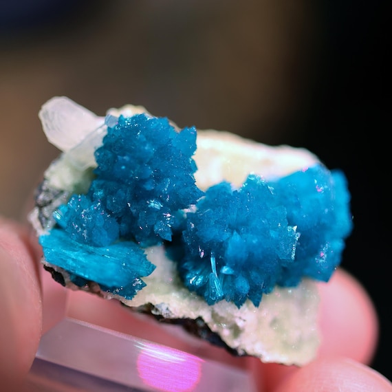 Cavansite crystals. Wagholi Quarries, near Pune, Maharashtra, India. No damage