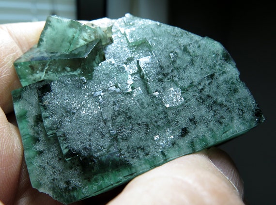 Color change Fluorite. Poison Ivy Pocket, Lady Annabella mine, Eastgate, Wesrdale Co., Durham, England.