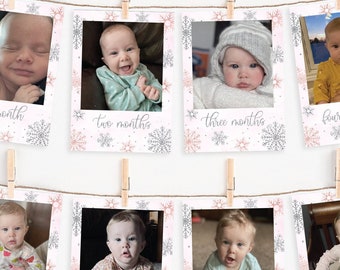 pink snowflake first birthday photo banner, winter wonderland girl's first birthday photo banner, monthly milestone photo cards, WPWL