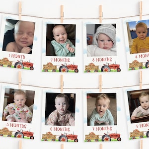 apple theme first birthday photo banner, apple first birthday photos, apple orchard monthly milestone photo, fall birthday, editable, APL