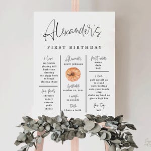 Póster de calabaza naranja para hitos, póster minimalista para el primer cumpleaños, tablero para hitos de bebé, minimalista, 16 x 20, 18 x 24, PMP