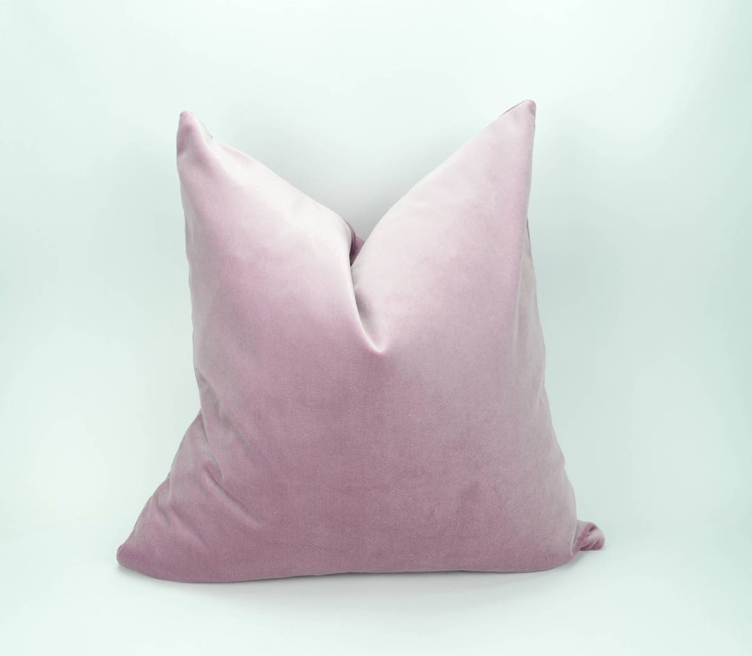 Vintage Rose Velvet Pillow Cover // Pink Velvet Cushion Case // Light
