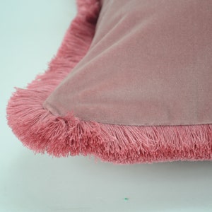 May include: A pink velvet pillow with a fringe trim. The pillow is soft and plush, and the fringe adds a touch of texture and style.