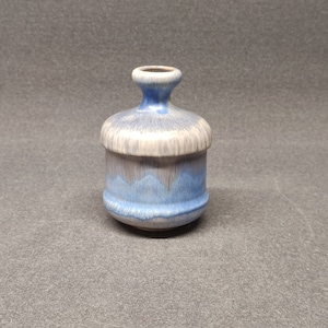 Può includere: Un piccolo vaso in ceramica blu e bianco con forma arrotondata e un'apertura leggermente svasata.