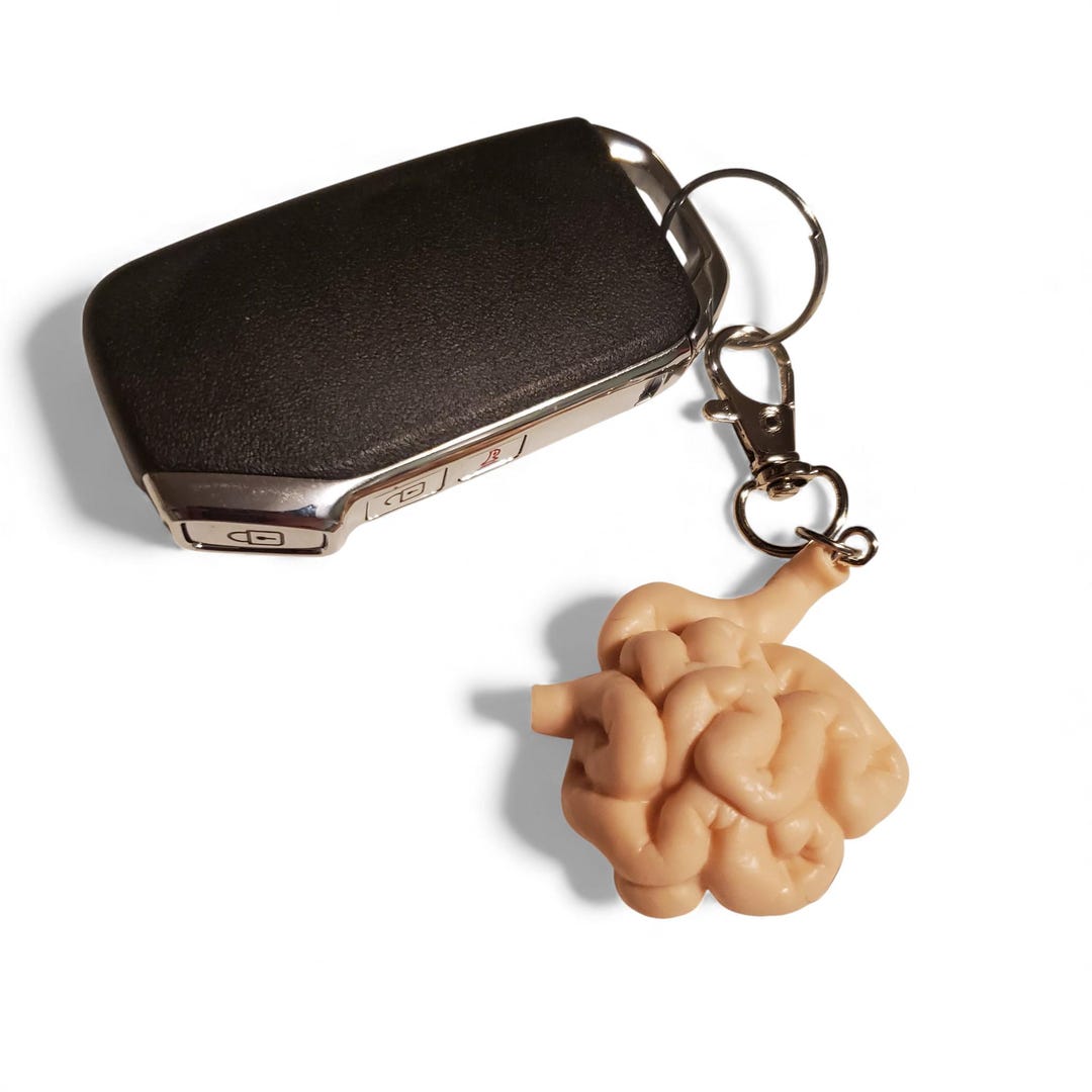 Digestive Key Ring Small Intestine Keychain Bag Charm - Realistic Human Anatomy Keychain ...