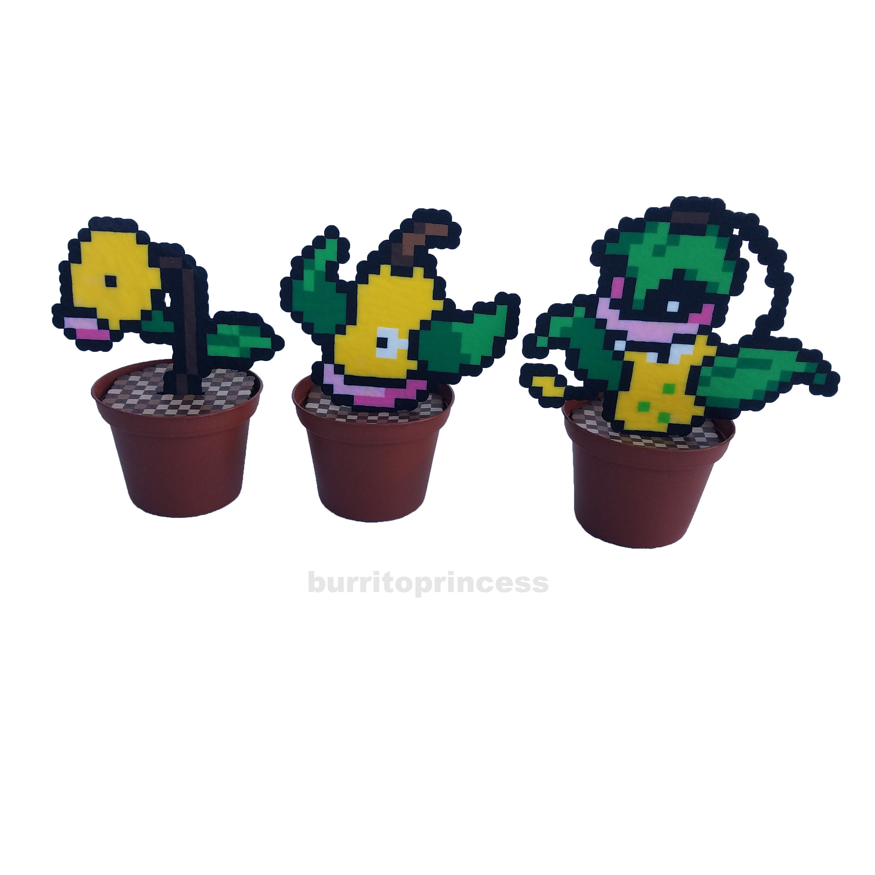 The Plant Pokémon Project (@PlantPokemon) / X