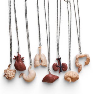 May include: A collection of anatomical organ necklaces, including a brain, heart, lungs, and kidneys, suspended from silver chains. The pendants are detailed and realistic, showcasing various colors and textures. The necklaces are displayed against a white background.