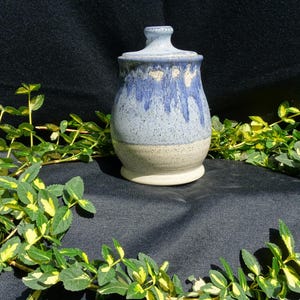 Blue and White Canister