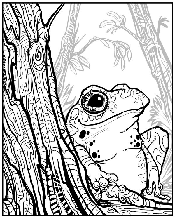 Multiple Toad Coloring Pages Trees & Toads Coloring Page Set - Download - Etsy