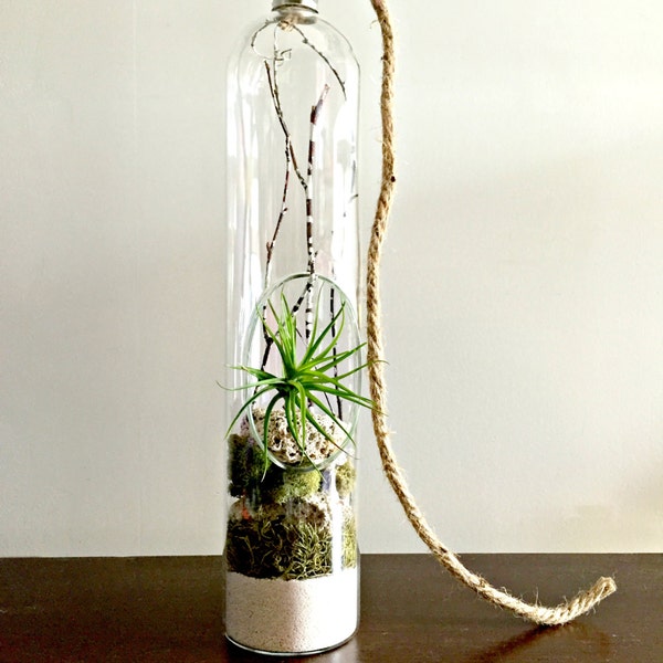 Reserved listing for Christine  glass vase light bulb style Living decor DIY kit - gift for any occasion- zen decor-coral- moss