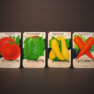 May include: Four vintage seed packets with illustrations of tomato, cucumber, squash, and carrot. Each packet features the Lone Star Seed Co. logo and the price of the seeds.