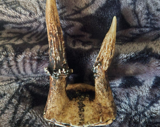 Double Antler Hairclip