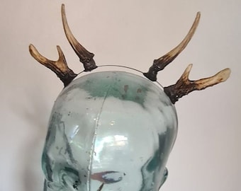 Natural double antlers - set 3