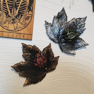 Folium & Frog Wall Art