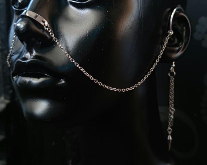 Silver Chain Nose Armour