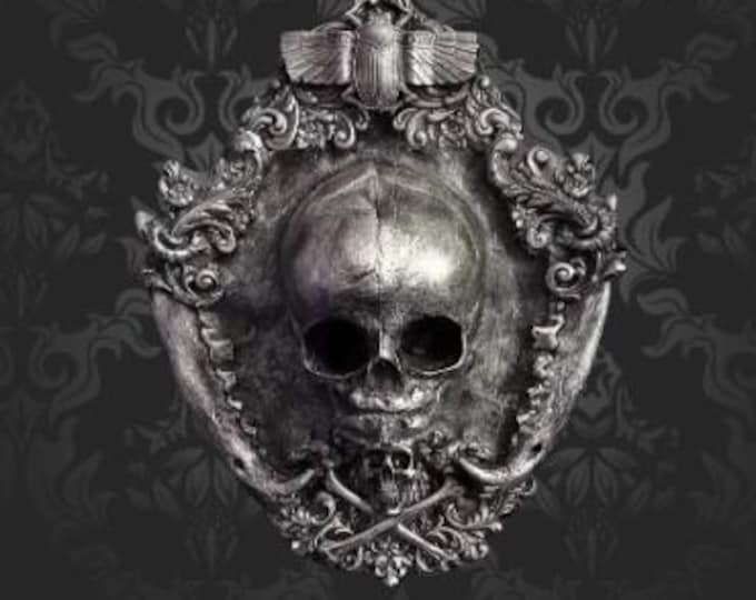 Resin Cast Fetus Skull Wall Plaque