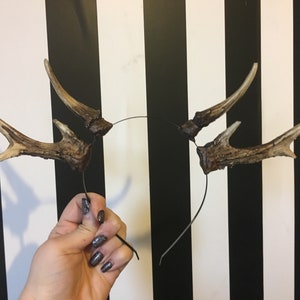 Natural Double Antler Headband