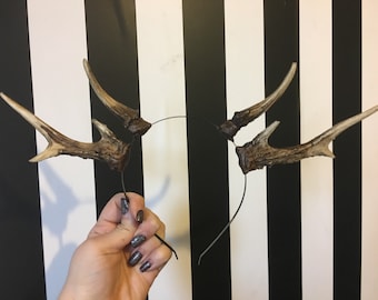 Natural Double Antler Headband